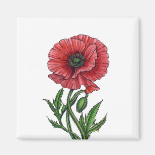 Roter Mohn, Aquarell und Tinte Magnet