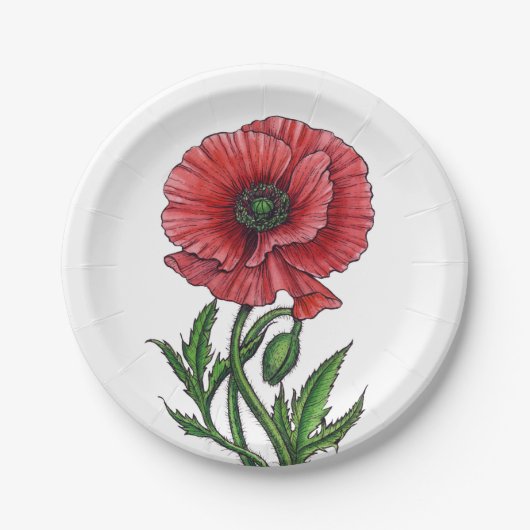 Roter Mohn, Aquarell und Tinte Pappteller (Vorderseite)
