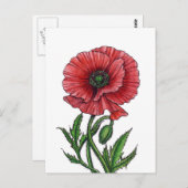 Roter Mohn, Aquarell und Tinte Postkarte (Vorne/Hinten)