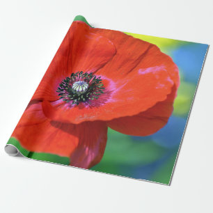 Roter Mohn auf dem Sonnenschein Geschenkpapier