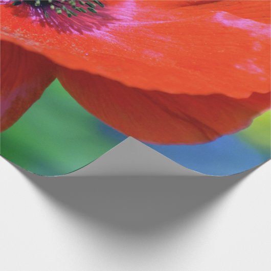 Roter Mohn auf dem Sonnenschein Geschenkpapier (Ecke)