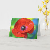 Roter Mohn auf dem Sonnenschein Karte (Gelbe Blume)