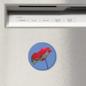 Roter Mohn auf lila Magnet (In Situ (Geschirrspüler))