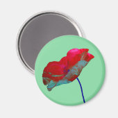 Roter Mohn auf pastellgrün türkis Magnet (Vorderseite/Rückseite)