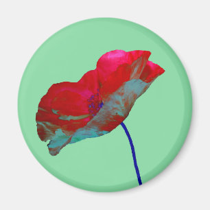Roter Mohn auf pastellgrün türkis Magnet