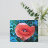 Roter Mohn aus der Toskana. Postkarte (Stehend Vorderseite)