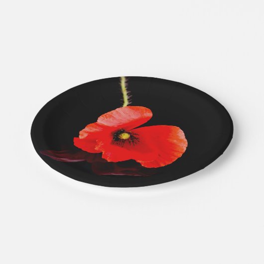 Roter Mohn aus Single auf schwarz Pappteller (Schrägansicht)