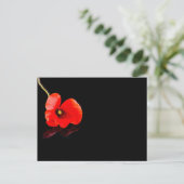 Roter Mohn aus Single auf schwarz Postkarte (Stehend Vorderseite)