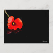 Roter Mohn aus Single auf schwarz Postkarte (Rückseite)