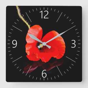 Roter Mohn aus Single auf schwarz Quadratische Wanduhr