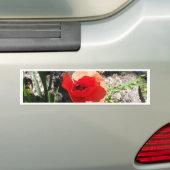 Roter Mohn Autoaufkleber (Auf Auto)