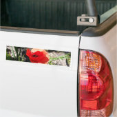 Roter Mohn Autoaufkleber (Auf Lkw)