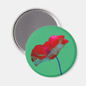 Roter Mohn Blume auf smaragdgrünen Magnet (Vorderseite/Rückseite)