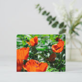 Roter Mohn Blume Garten Postkarte (Stehend Vorderseite)