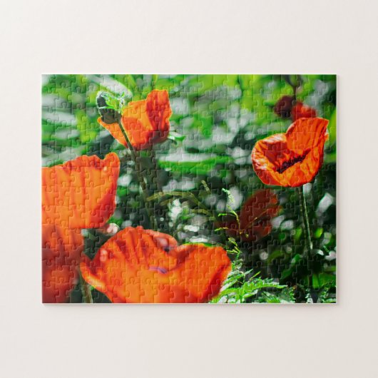 Roter Mohn Blume Garten Puzzle (Horizontal)