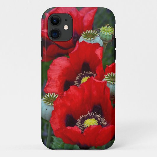Roter Mohn-Blume-Gehäuse Case-Mate iPhone Hülle (Rückseite)