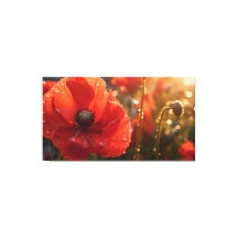 Roter Mohn-Blume mit Wassertropfen - Blütenblüte