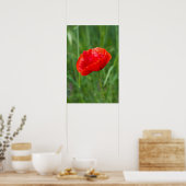 Roter Mohn-Blume Poster (Küche)