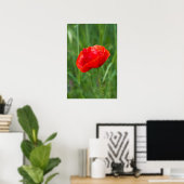 Roter Mohn-Blume Poster (Heimbüro)