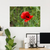 Roter Mohn-Blume Poster (Heimbüro)