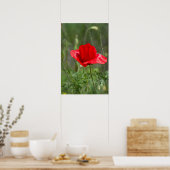 Roter Mohn-Blume Poster (Küche)