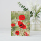 Roter Mohn-Blume Postkarte (Stehend Vorderseite)