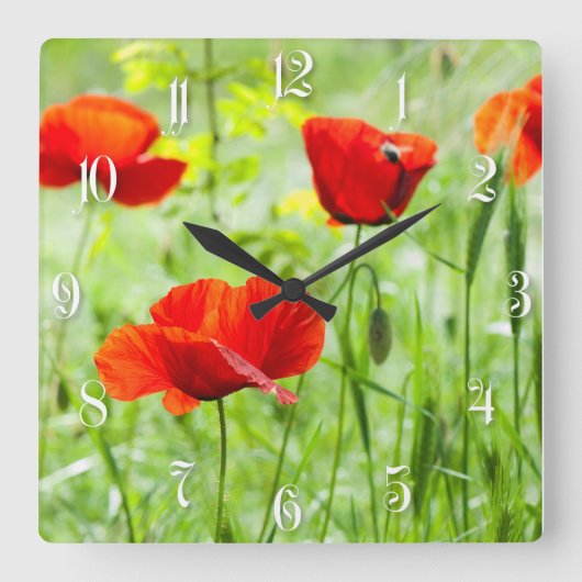 Roter Mohn-Blume Quadratische Wanduhr (Vorderseite)