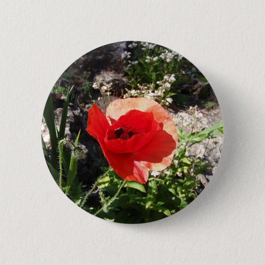 Roter Mohn Button (Vorderseite)
