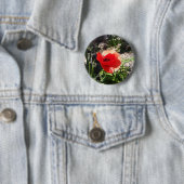 Roter Mohn Button (Beispiel)