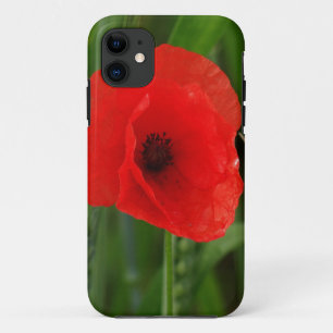 Roter Mohn Case-Mate iPhone Hülle