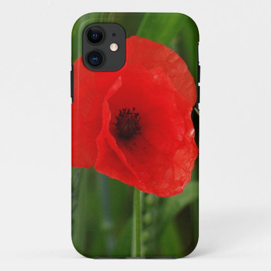 Roter Mohn Case-Mate iPhone Hülle (Rückseite)