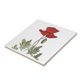 Roter Mohn Fliese (Seite)