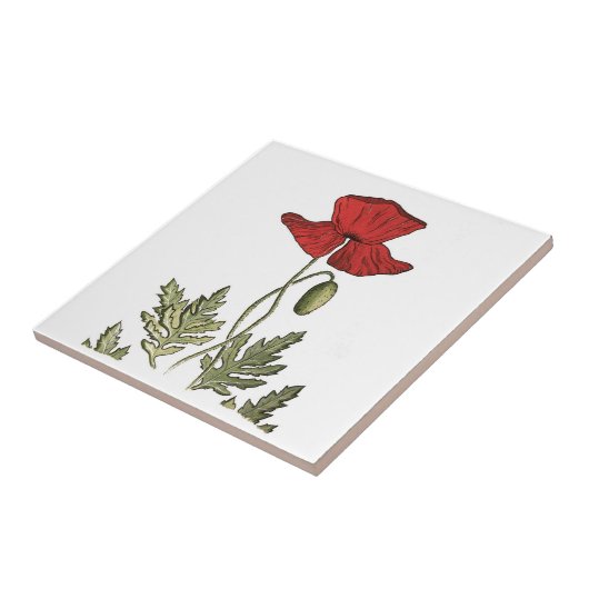 Roter Mohn Fliese (Seite)