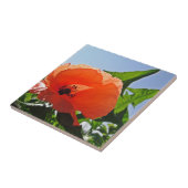 Roter Mohn Fliese (Seite)