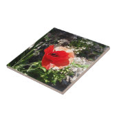 Roter Mohn Fliese (Seite)