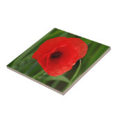 Roter Mohn Fliese (Seite)