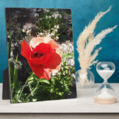 Roter Mohn Fotoplatte (Seite)
