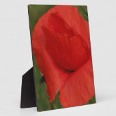 Roter Mohn Fotoplatte (Seite)