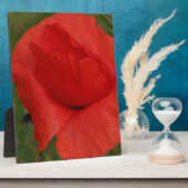 Roter Mohn Fotoplatte (Seite)