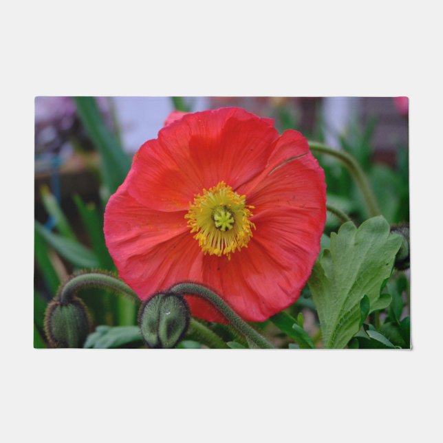 Roter Mohn Fußmatte (Vorderseite)