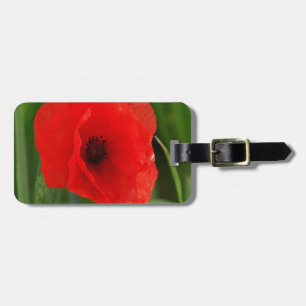 Roter Mohn Gepäckanhänger