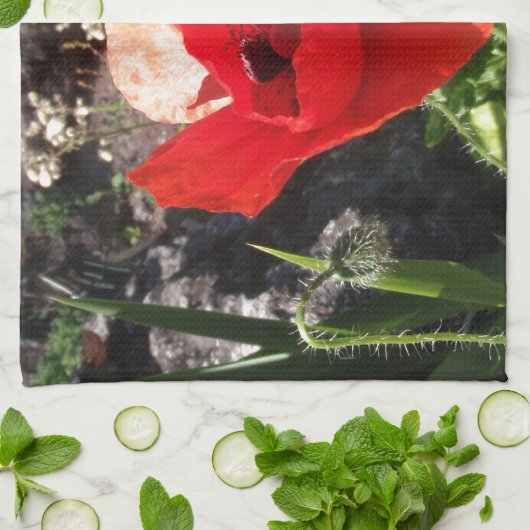 Roter Mohn Handtuch (Gefaltet)
