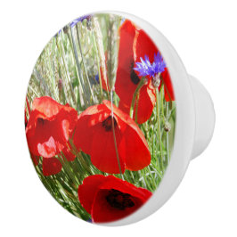 Roter Mohn, Hütte Garden Foto Keramikknauf