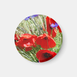 Roter Mohn, Hütte Garden Foto Magnet
