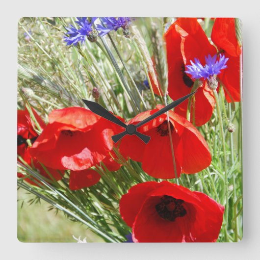 Roter Mohn, Hütte Garden Foto Quadratische Wanduhr (Vorderseite)