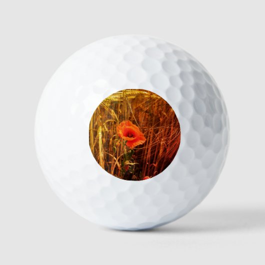 Roter Mohn im Erntedank des Goldenen Weizenfeldes Golfball (Vorderseite)