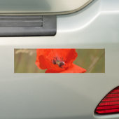 Roter Mohn im Feld Autoaufkleber (Auf Auto)