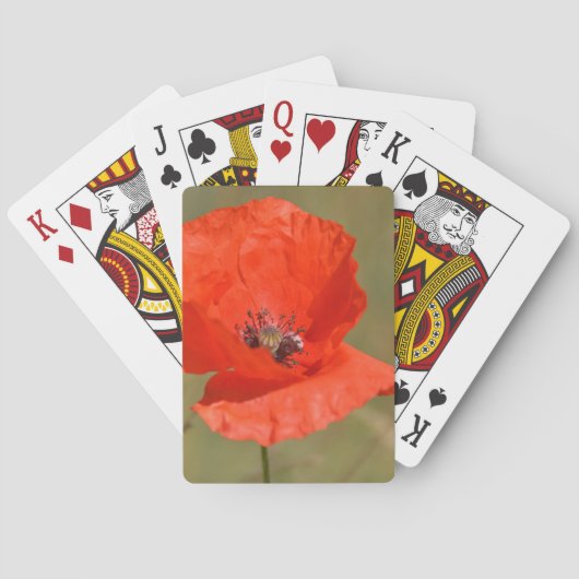 Roter Mohn im Feld Spielkarten (Rückseite)