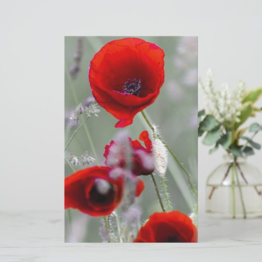 Roter Mohn im Hintergrund Briefpapier (Stehend Vorderseite)