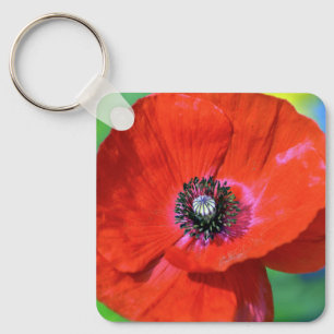 Roter Mohn im Sonnenschein-Schlüsselanhänger Schlüsselanhänger